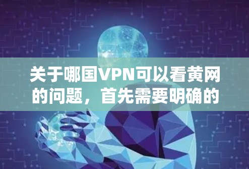 关于哪国VPN可以看黄网的问题,首先需要明确的是,黄网通常包括网络爬虫、钓鱼网站、反间谍软件等,这些内容是不合法和有害的,不适合欣赏或观看。因此,任何VPN都可以提供这样的内容 关于哪国VPN可以看黄网的问题,首先需要明确的是,黄网通常包括网络爬虫、钓鱼网站、反间谍软件等,这些内容是不合法和有害的,不适合欣赏或观看。因此,任何VPN都可以提供这样的内容