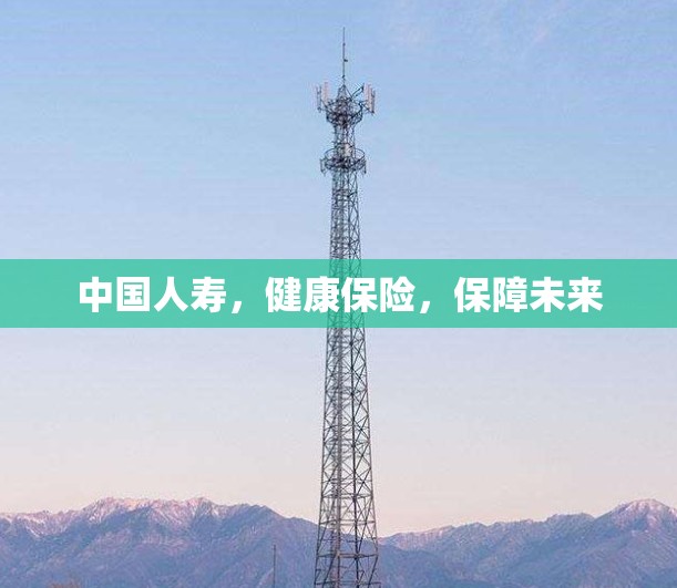 中国人寿,健康保险,保障未来