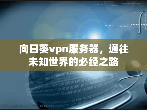 向日葵vpn服务器，通往未知世界的必经之路