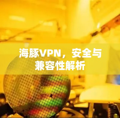 海豚VPN，安全与兼容性解析