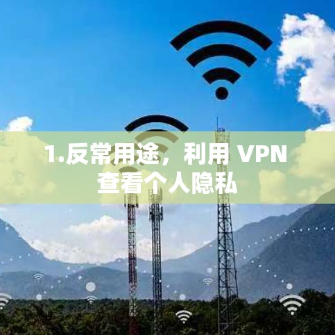 1.反常用途,利用 VPN 查看个人隐私