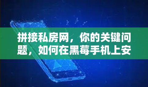 拼接私房网,你的关键问题,如何在黑莓手机上安装和使用VPN