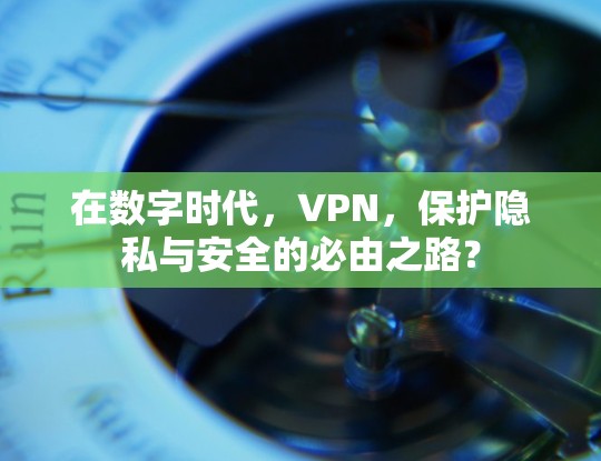 在数字时代，VPN，保护隐私与安全的必由之路？