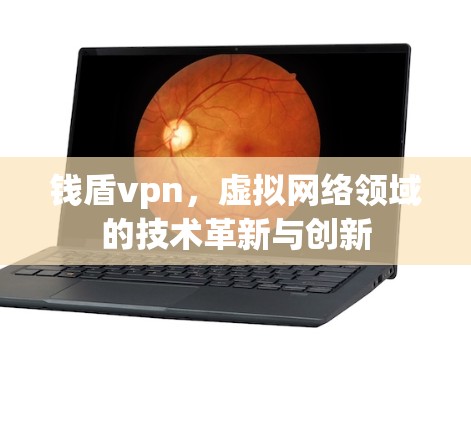 钱盾vpn，虚拟网络领域的技术革新与创新