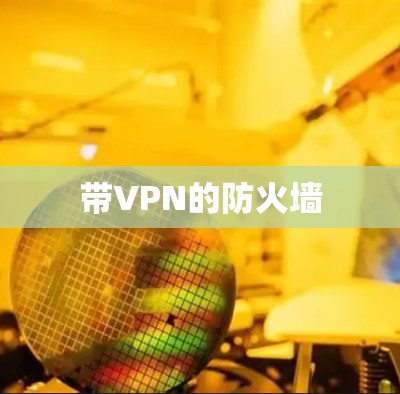 带VPN的防火墙
