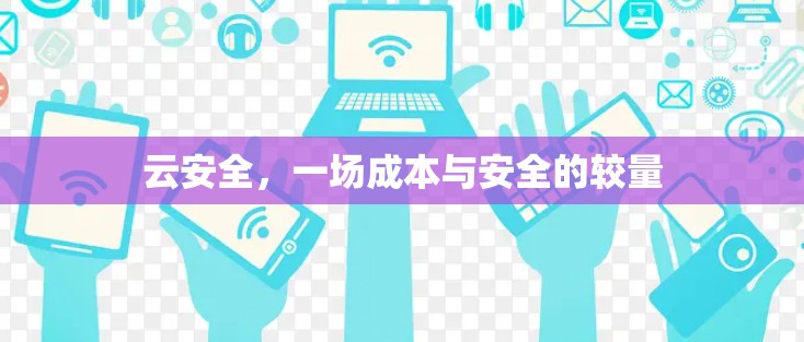 云安全，一场成本与安全的较量