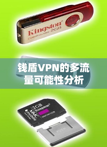 钱盾VPN的多流量可能性分析