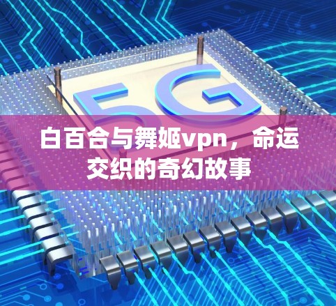 白百合与舞姬vpn，命运交织的奇幻故事