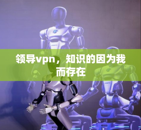 领导vpn，知识的因为我而存在