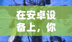 在安卓设备上，你可以使用以下方法快速切换到VPN应用