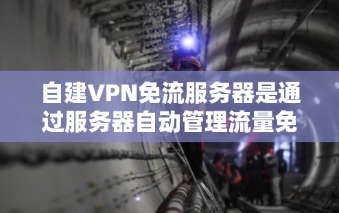 自建VPN免流服务器是通过服务器自动管理流量免流的解决方案。通常，这种服务器会通过自身配置或动态脚本来自动阻止用户或设备的流量被其他用户或服务器访问。以下是自建VPN免流服务器的基本步骤