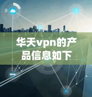 华天vpn的产品信息如下