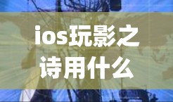 ios玩影之诗用什么VPN可能是指在ios系统中使用VPN（如Netcat、OpenVPN等）时使用的软件或工具。以下是一些可能的解释和步骤