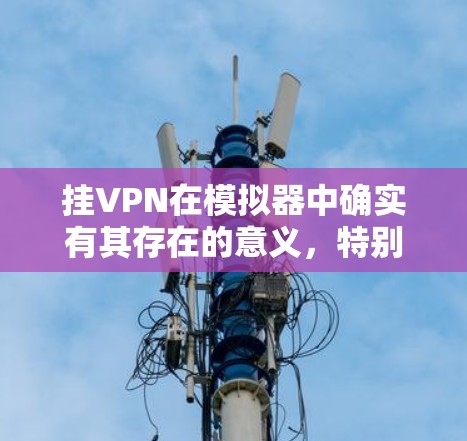 挂VPN在模拟器中确实有其存在的意义,特别是在以下几个方面