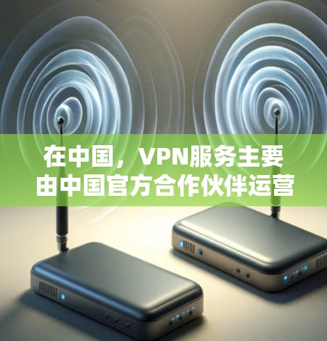 在中国，VPN服务主要由中国官方合作伙伴运营，如中国国风、联想、腾讯等。这些平台都是经过严格审核的，符合中国的法律法规和网络安全政策
