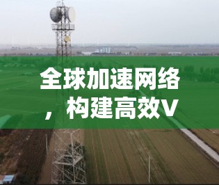 全球加速网络，构建高效VPN架构
