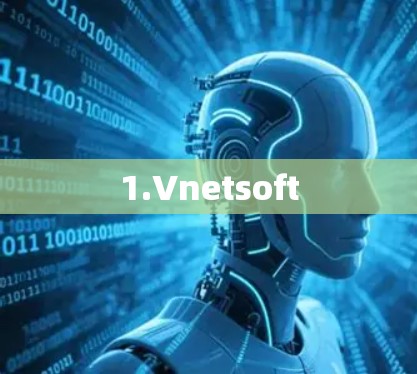 1.Vnetsoft 1.Vnetsoft