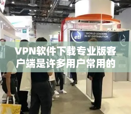VPN软件下载专业版客户端是许多用户常用的工具，可以帮助他们安全地访问网络内容。以下是一些推荐的VPN软件，它们在专业版客户端中表现良好，适合快速安装和使用