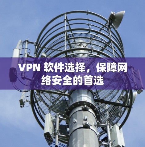 VPN 软件选择，保障网络安全的首选