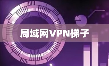 局域网<strong>VPN梯子</strong>