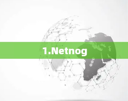 1.Netnog