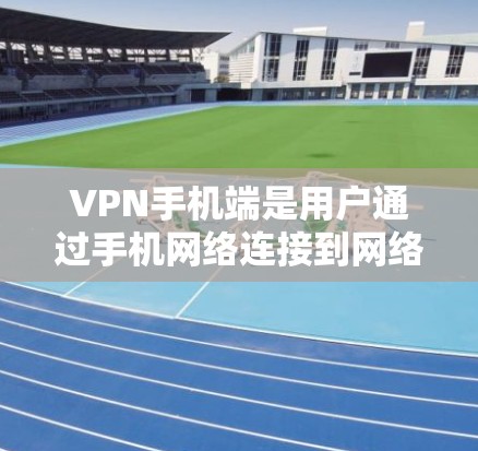 VPN手机端是用户通过手机网络连接到网络服务的工具，提供多种方式访问网络资源。以下是几种主要的VPN手机端软件及其特点