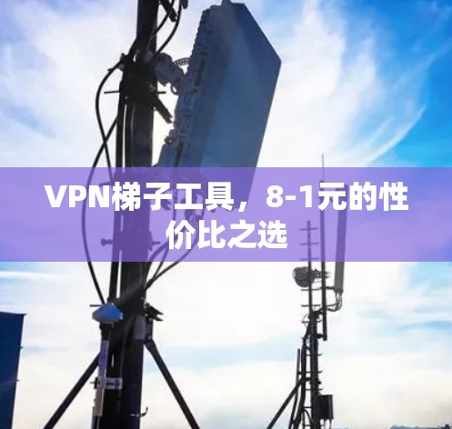 <strong>VPN梯子</strong>工具，8-1元的性价比之选