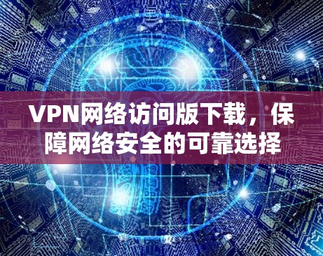VPN网络访问版下载，保障网络安全的可靠选择