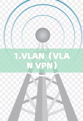 1.VLAN（VLAN VPN）