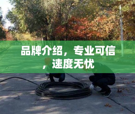 品牌介绍，专业可信，速度无忧