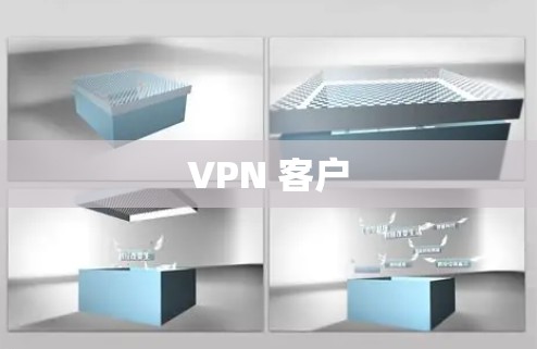 VPN 客户