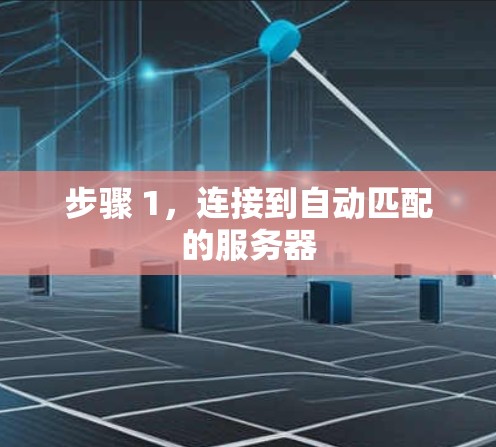 步骤 1，连接到自动匹配的服务器