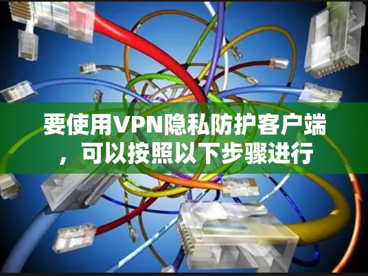 要使用VPN隐私防护客户端，可以按照以下步骤进行