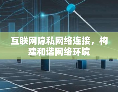 互联网隐私网络连接，构建和谐网络环境